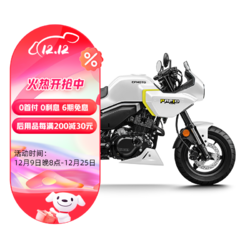 cfmoto 春风动力 春风 XO狒狒 赛车手 复古摩托车 盐滩白 ABS版 全款