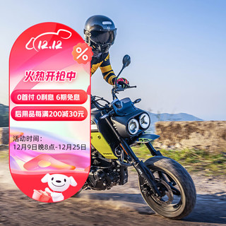 cfmoto 春风动力 春风 XO狒狒 冒险家 复古摩托车 洛基灰 ABS版 全款