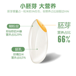 杜家 有机胚芽米 谷物米孩子营养东北大米粥 真空绿盒款500g