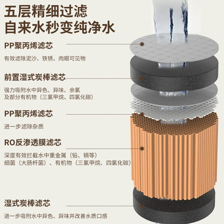 倍世（BWT） 净水器加热直饮净饮一体机反渗透RO膜直饮机即热式免安装家用过滤饮水机 畅享系列