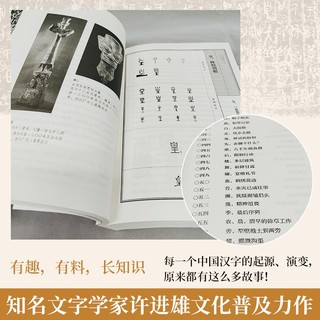 文字小讲（2016年中国好书！知名文字学者许进雄写给年轻人的文字启蒙书，从汉字演变看中国千年文化）