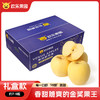 Joy Tree 欢乐果园 山东黄金维纳斯苹果 雀斑苹果 1.5kg礼盒装 约7-9个 生鲜水果