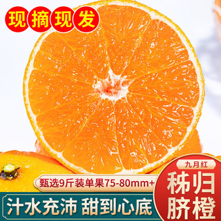 京果甜 湖北秭归脐橙子九月红血橙甜橙香橙榨汁新鲜水果 净重9斤大果