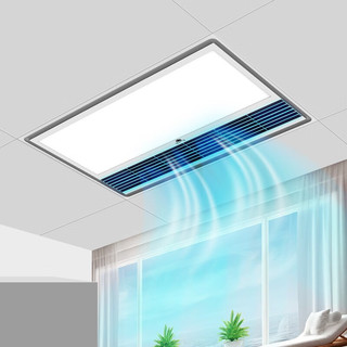 雷士照明 618：LED凉霸卫生间浴室厨房照明一体 集成吊顶冷霸调速降温凉霸