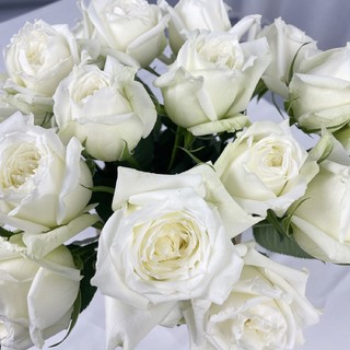 西子悦 坦尼克白玫瑰向日葵康乃馨尤加利叶混搭花束家庭插花花材基地直发