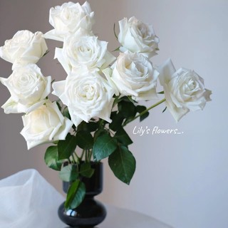 西子悦 坦尼克白玫瑰向日葵康乃馨尤加利叶混搭花束家庭插花花材基地直发