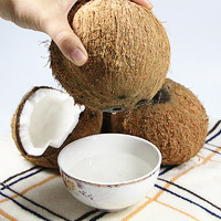 仙绘鲜 海南老椰子新鲜6个装 毛椰牛奶椰皇椰宝当季水果椰青 生鲜