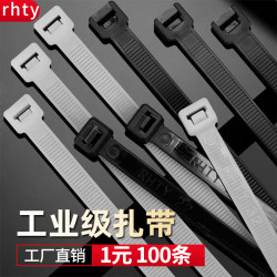 rhty装修主材_rhty 4*200扎带尼龙塑料自锁式扎线带捆绑绳高强度固定带束线带黑白色多少钱-什么值得买