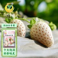 凤鸣雅世 白奶油草莓种籽家庭阳台盆栽种植易活种孑奶油白草莓种子500粒