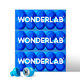  88VIP：WONDERLAB 万益蓝B420益生菌 2g*30瓶　