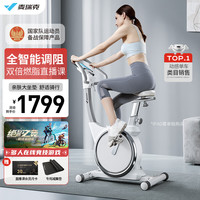 麦瑞克(MERACH)银月动感单车智能磁控车家用器材 尊享白/手动调阻