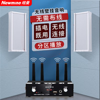 Newmine/纽曼 无线调频户外防水音柱音响套装