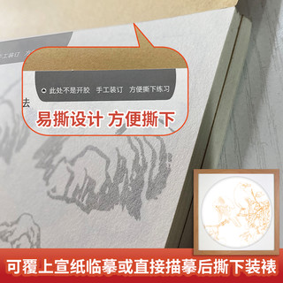 中国画白描描摹本5册工笔画白描底稿临摹 动物人物花卉山水国画初学者入门套装 工笔画白描底稿线稿本