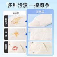 老管家 羽绒服清洁湿巾30片 3包