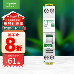 Schneider Electric 施耐德电气 空气开关1P+N C20A 小型家用紧凑型断路器 双进双出空开R9P44620