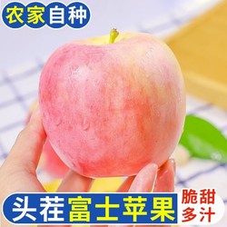 果农侠 山西脆甜冰糖心红富士苹果当季时令新鲜水果整箱丑苹果 10斤普箱单果75-80mm净重8.5-9斤