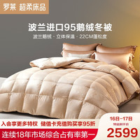 罗莱95白鹅绒被羽绒被秋冬保暖被子双人床被芯 冬被【波兰95白鹅绒】 2