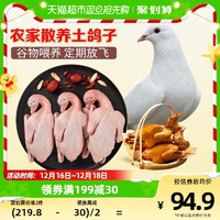 88VIP：温氏食品 WENS 温氏 乳鸽鸽子900g/3只