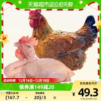 88VIP：温氏食品 WENS 温氏 文昌鸡农家土鸡肉800g散养走地鸡椰子鸡生鲜食品