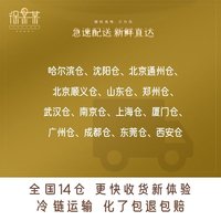 徐某某 意式冰淇淋雪糕冰激凌6斤装大桶家庭分享装桶装 三色彩虹糖