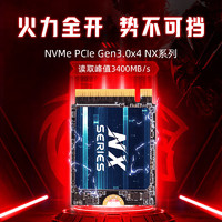 金胜维（KingSpec）1TB SSD固态硬盘NVMe 2230 M.2接口 PCIe3.0 适配SteamDeck掌机 NX系列