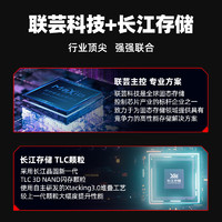 KingSpec 金胜维 1TB SSD固态硬盘NVMe 2242 M.2接口 PCIe4.0 XG7000系列