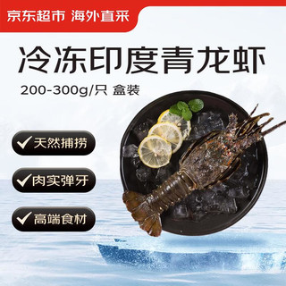 京东生鲜 京东超市 冷冻青龙虾/小青龙 200-300g/只  盒装 高端海鲜食材