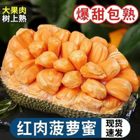 泰八 红肉菠萝蜜 大果10-12斤