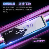 七彩虹 M.2固态硬盘CN600系列