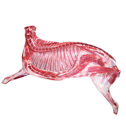 半只羊(羊腿6+羊排2+脊骨2) 火锅食材年货 5斤