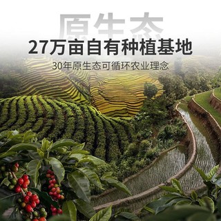 HOGOOD COFFEE 后谷咖啡 后谷云南小粒咖啡 精品黑咖啡 低脂无添加蔗糖手冲现磨美式速溶咖啡粉 150gx2盒(2g*75包)