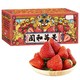 abdo 大凉山露天红颜99草莓 单果（16-25g）净重4.5-5斤