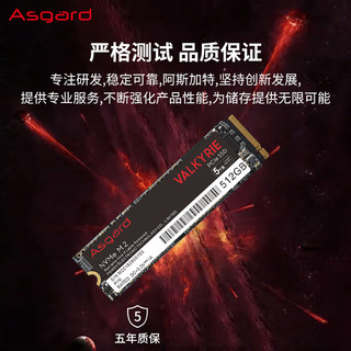 阿斯加特（Asgard） 女武神系列 V3 512GB SSD固态硬盘 M.2接口(NVMe协议) PCIe 3.0