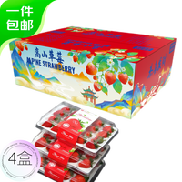 京鲜生露天奶油草莓 净重2.3-2.5斤 单果15g以上 新鲜水果 源头直发