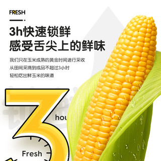 BeiChun 北纯 鲜食黄糯玉米 东北玉米2.08kg(真空袋) 北纬45° 东北黄甜糯