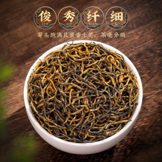 春伦 金骏眉正山小种特级红茶新茶叶浓香型蜜香真黄芽养胃红茶罐装