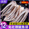 新鲜鱿鱼须鲜活冷冻二本足章鱼生鲜尤鱼铁板鱿鱼串腿海鲜商用