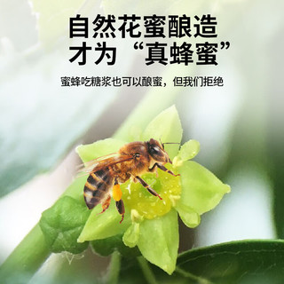 北京同仁堂 造养青年 枣花蜂蜜300克 漏斗型瓶装 原料纯粹 拒绝添加 便携易使用