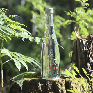 桦树汁白桦树汁天然有机小兴安岭桦树原液NFC植物饮品 320ML*6瓶