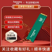 FANXIANG 梵想 S500Q NVMe M.2 固态硬盘（PCI-E3.0）512G