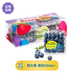 怡颗莓 Driscoll’s  当季Jumbo超大果云南蓝莓4盒约125g/盒（赠圣诞苹果礼盒）