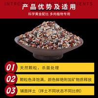船长多肉彩虹石纯颗粒土营养土壤火山麦饭石多肉栽培土铺面石