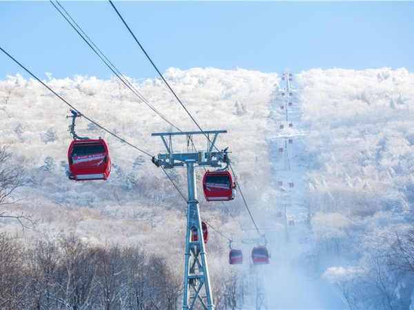 扛不住了！周末寒假不加价！雪场内的吉林北大湖假日酒店2天1晚含早含温泉