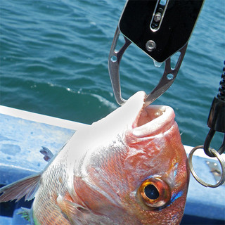 达亿瓦（DAIWA）控鱼器V 控大物 多功能路亚钳 取鱼器 路亚装备 垂钓配件钓鱼工具 V170红色
