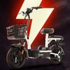 AIMA 爱玛 电动自行车48V12AH新国标电动车轻便助力电瓶车 雷霆 星空白
