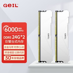 GeIL 金邦 48G(24GX2)套装 DDR5 6000 内存条 白色CL40