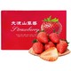 大凉山高山露天种植99红颜草莓   单果15-25g  礼盒装（15-20颗）*4盒