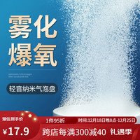 YEE鱼缸纳米气盘雾化气泡石增氧头气泡盘轻音配件大全爆氧细化器 【标准款】5cm/标准套餐/3m氧气管