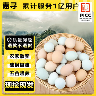 惠寻 京东自有品牌 农家鸡蛋混合40枚装