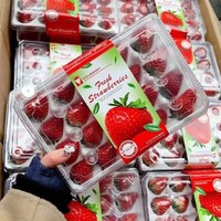 恰货郎 大凉山红颜99草莓 1盒 15粒 净重300克 + 京东空运